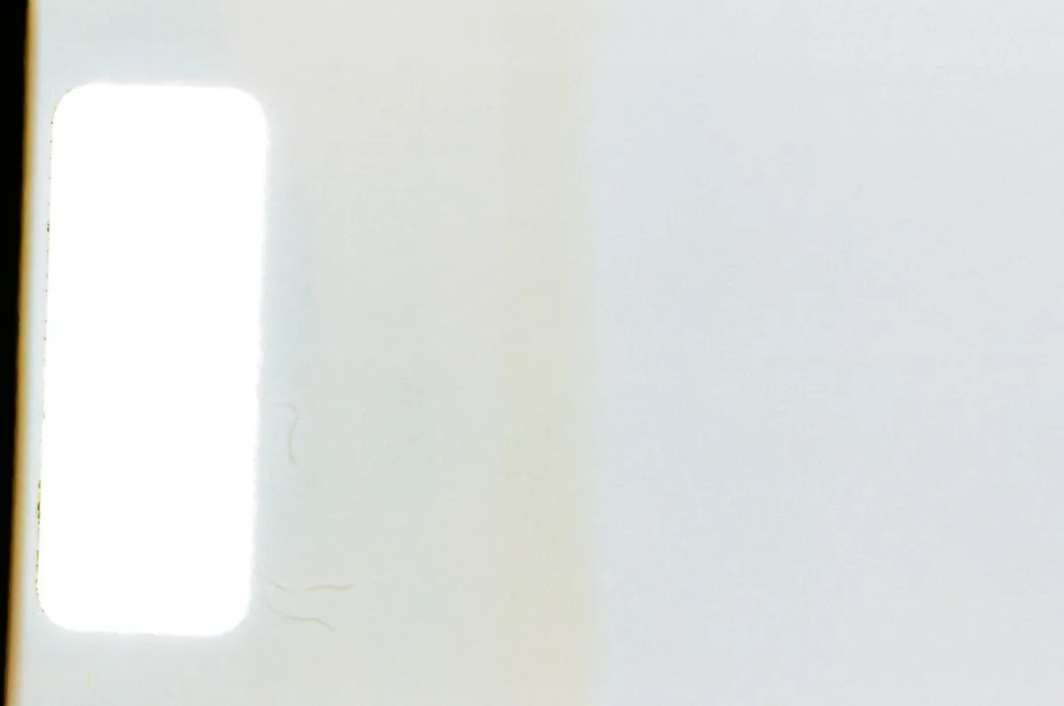 秋霞黄色：老片滤镜背后的门道